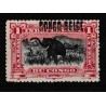 1909 - Congo - COB 36L* - SCOTT 37a - Handstamped - MH